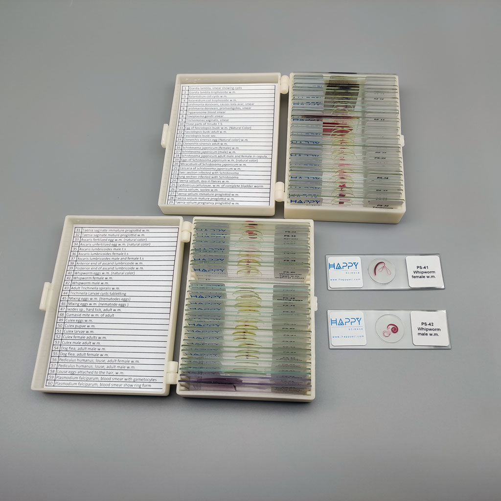 Details about   Students study medical parasitology slides parasite prepared microscope slides 