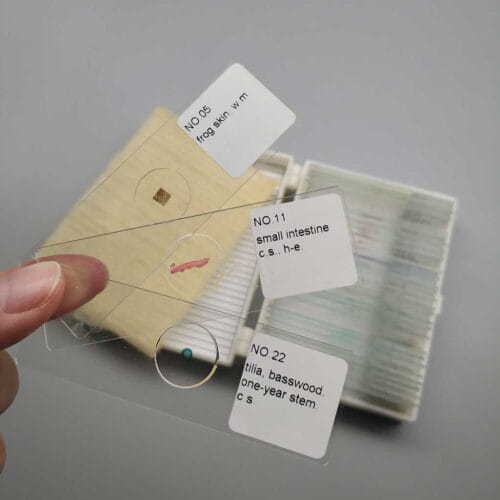 prepared-microscope-slides-30pcs-set