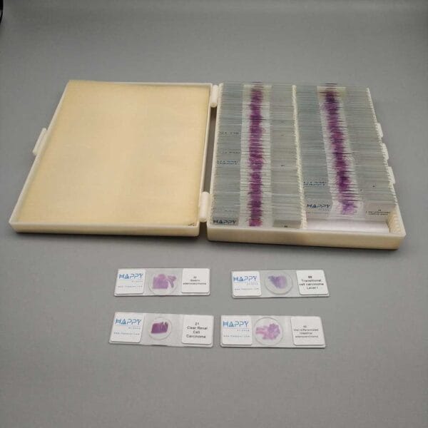 Pathology Slides - Xinxiang Happy Science Co., Ltd.