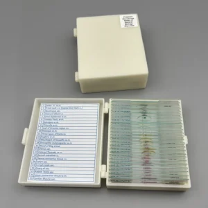 General Biology microscope prepared slides