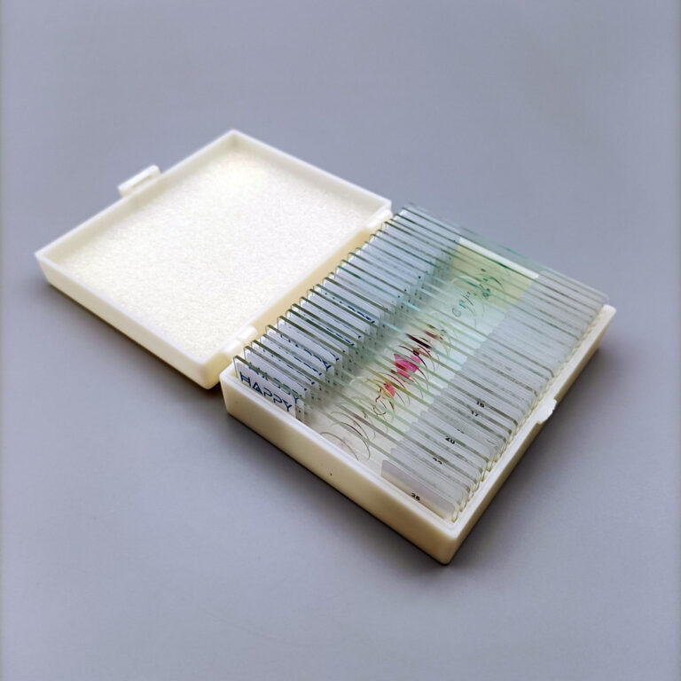 25pcs/set General Biology microscope prepared slides