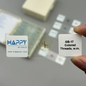 Prepared Microscope Slides of Colored Threads