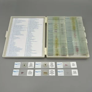Zoology prepared microscope slides