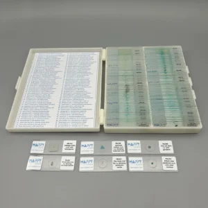 botany prepared microscope slides