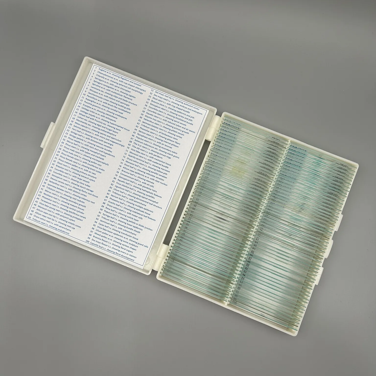 botany prepared microscope slides Preview