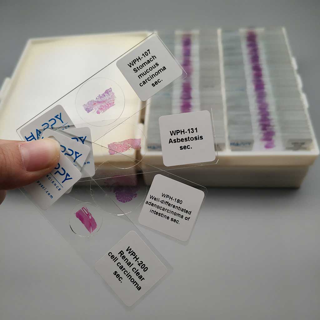 affordable-263pcs-human-pathology-teaching-slides-wholesale-factory