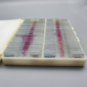 100pcs Histology Slides