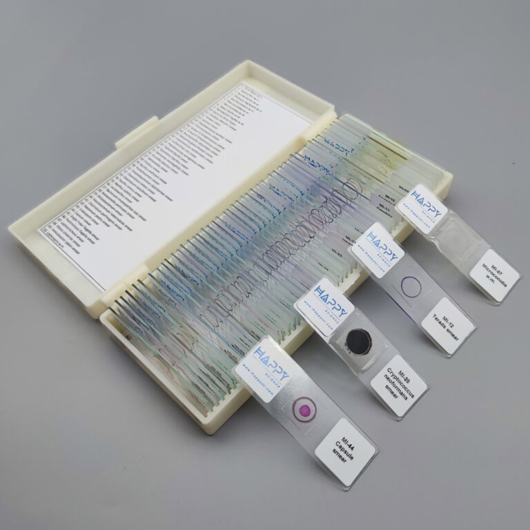 50pcs microbiology slides prepared for microscope, include bacteria and fungi