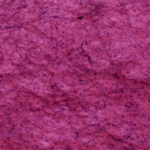 Areolar connective tissue