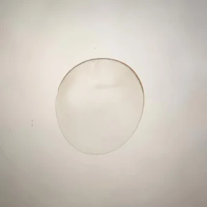 Simple-cell of egg of Frog