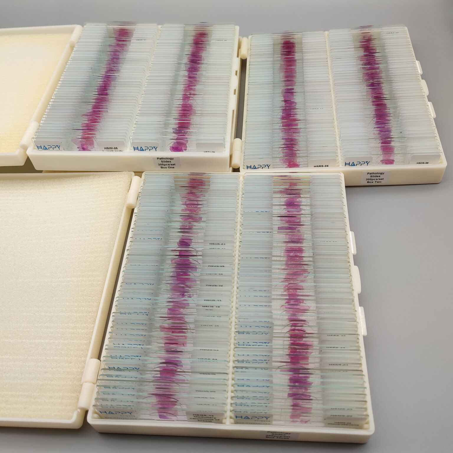 300pcs human pathology microscope slides, large human pathology slides