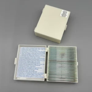 Prepared Microscope Slides of Cytology Genetics and Embryology