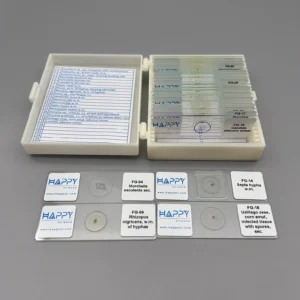 Fungi Prepared Microscope Slides