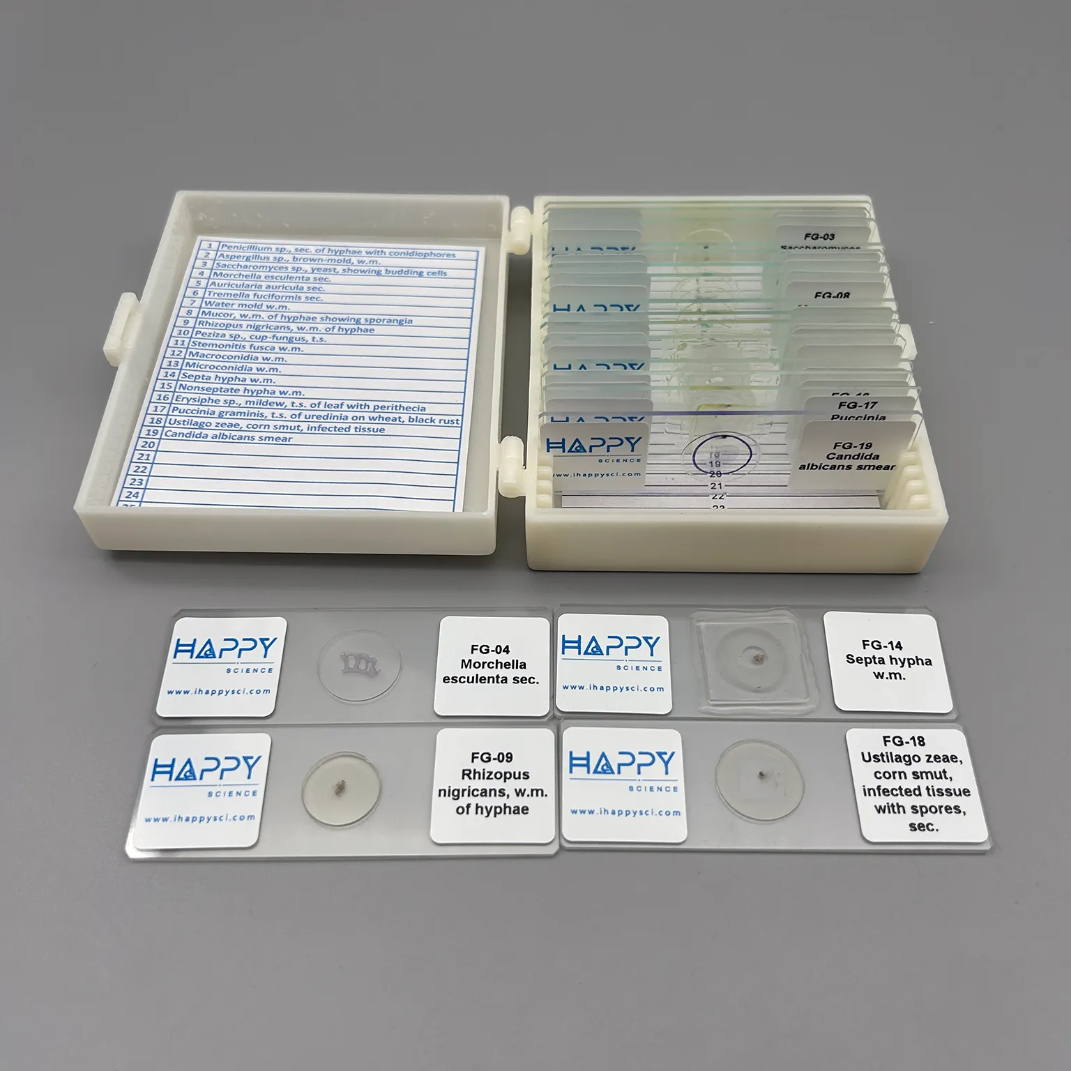 Fungi Prepared Microscope Slides