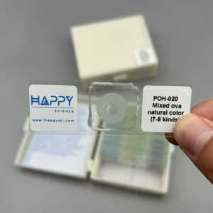 Prepared Microscope Slides of Mixed Parasitology Ova