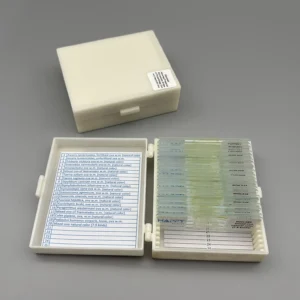 Prepared Microscope Slides of Parasitology Ova