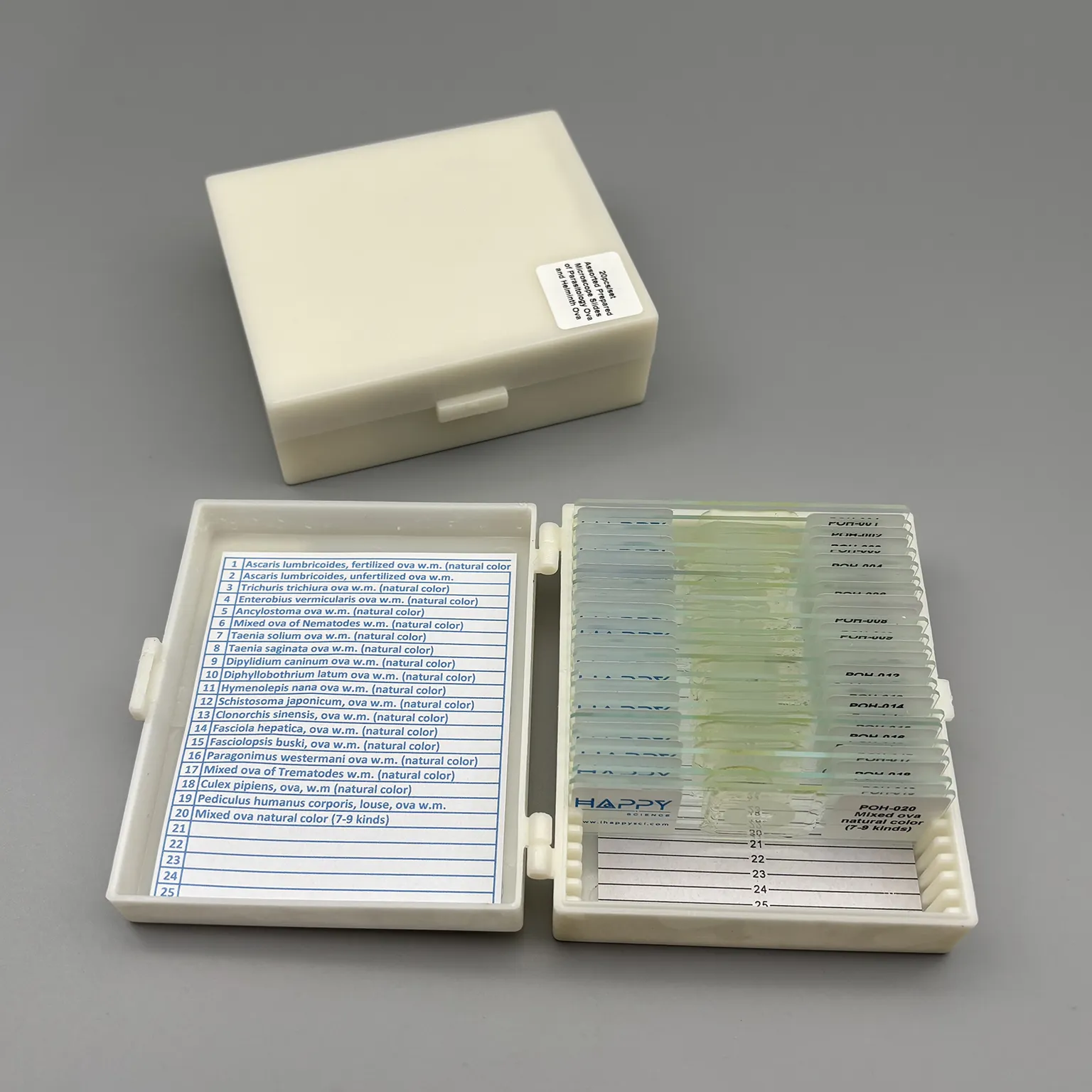 Prepared Microscope Slides of Parasitology Ova