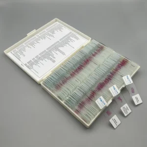 100pcs Advanced Veterinary Pathology Slides