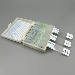 Prepared Microscope Slides of Algae