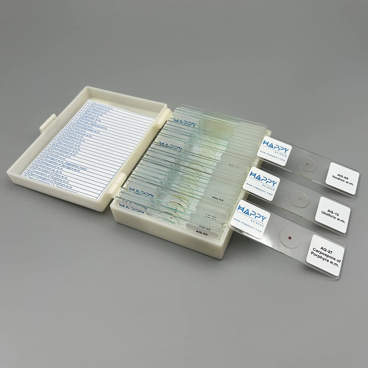 Prepared Microscope Slides of Algae