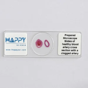 Healthy and Clogged Artery Comparison Microscope Slide
